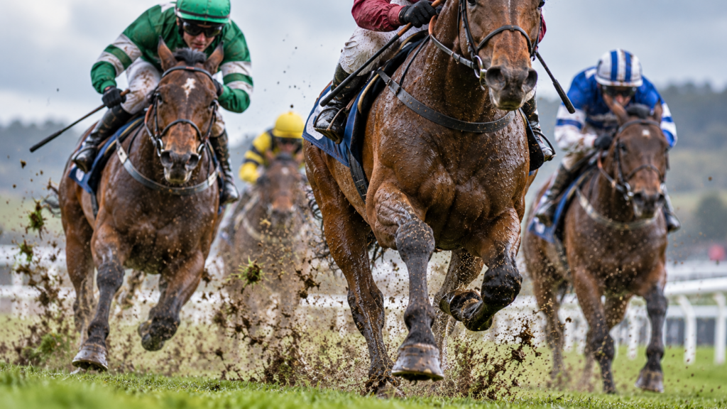 backing horses on soft and heavy going with inform racing